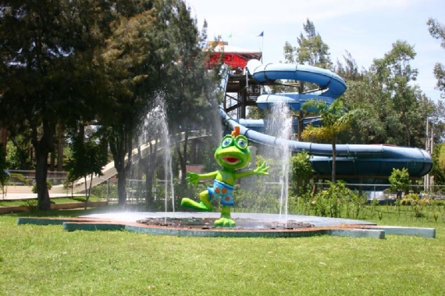  Frog fountain 